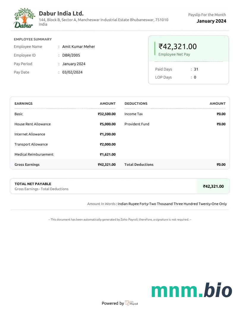 Szablon odcinka wypłaty firmy Dabur India goods Company w formatach Word i PDF